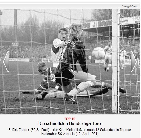 养就成了宝 养就成了宝