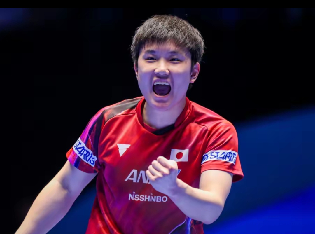 力的较量 力的较量