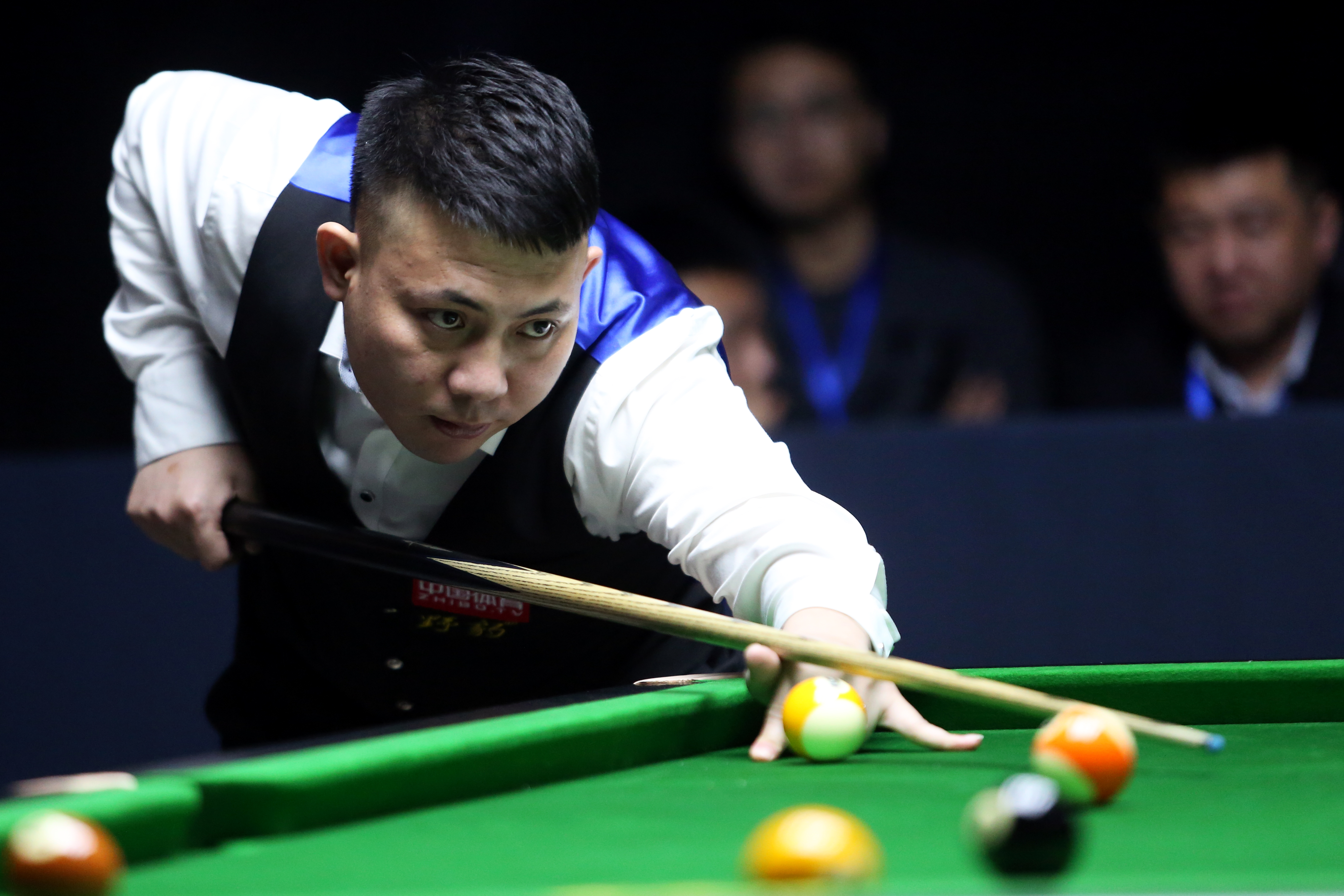 的观赏性及 的观赏性及